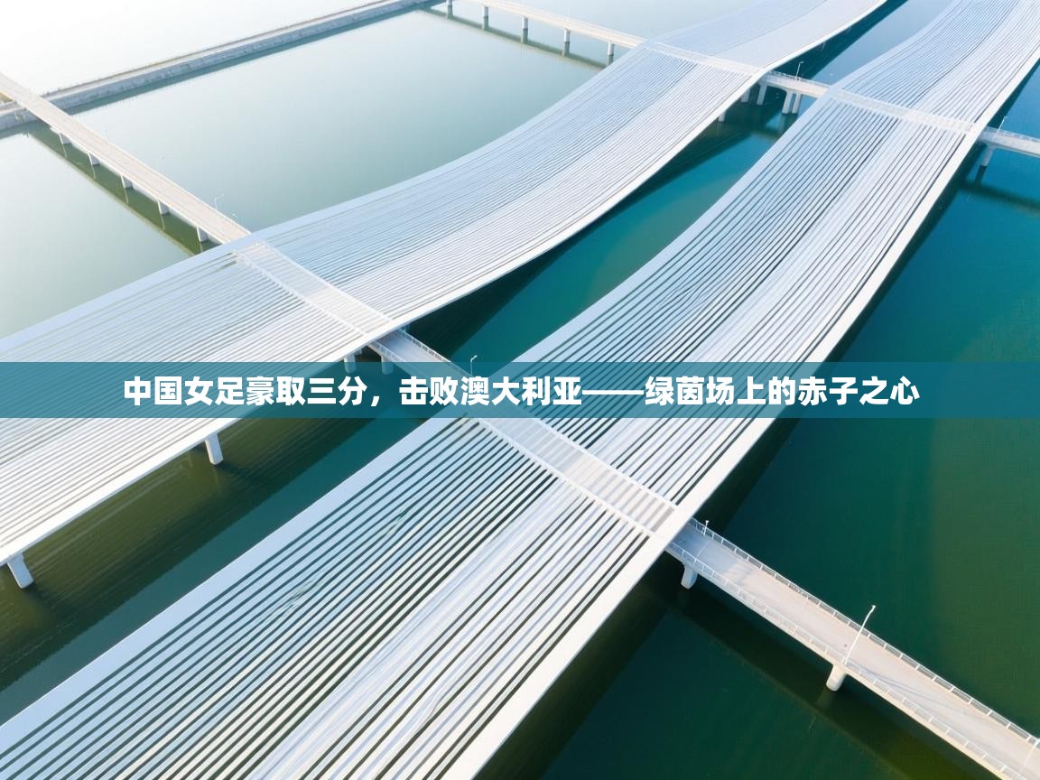 中国女足豪取三分,击败澳大利亚——绿茵场上的赤子之心 第2张